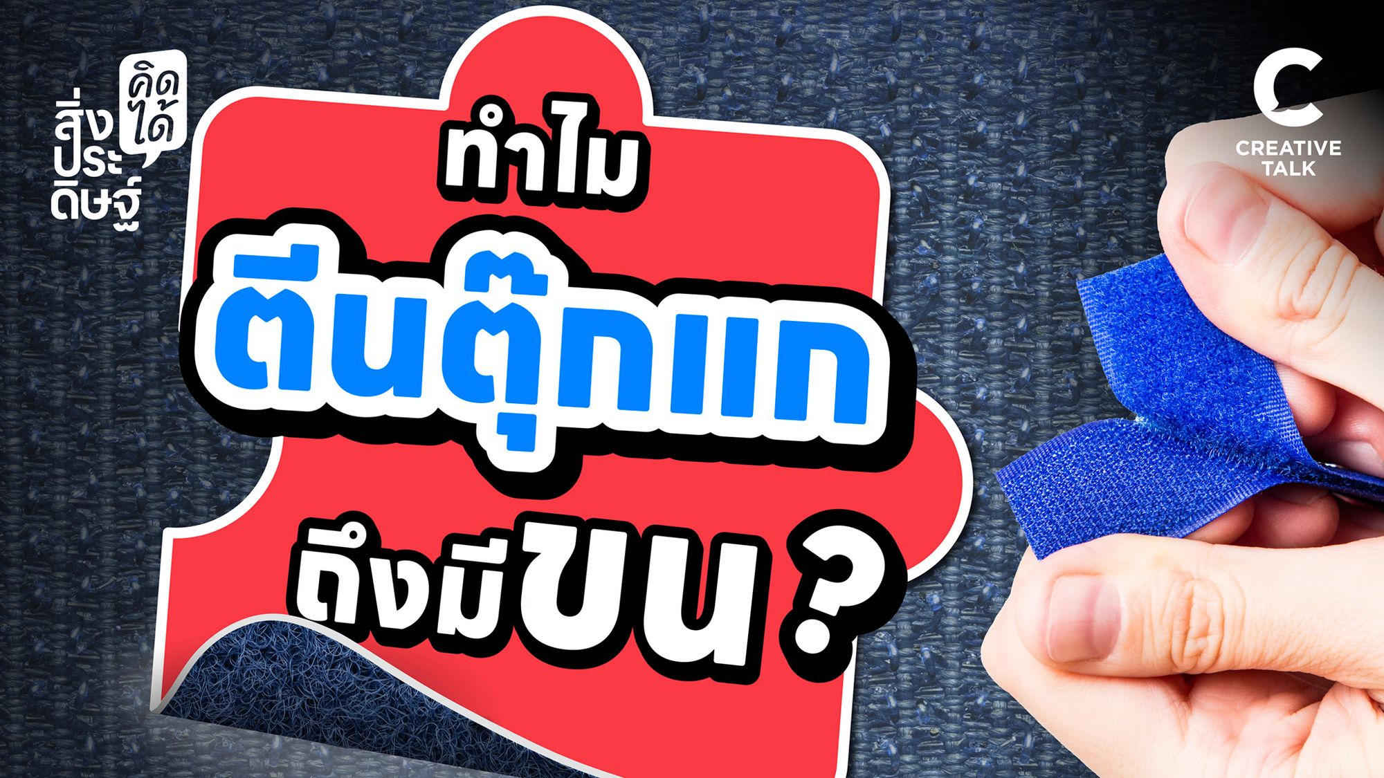 ทำไมตีนตุ๊กแกถึงมีขน - สิ่งประดิษฐ์ คิดได้ EP.26